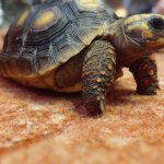 phoca_thumb_m_elva 11 Fotogalerie